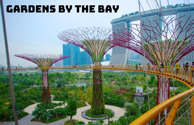 Trải Nghiệm Malaysia Singapore 4 Ngày 3 Đêm: Hành Trình Khám Phá Hai Quốc Gia