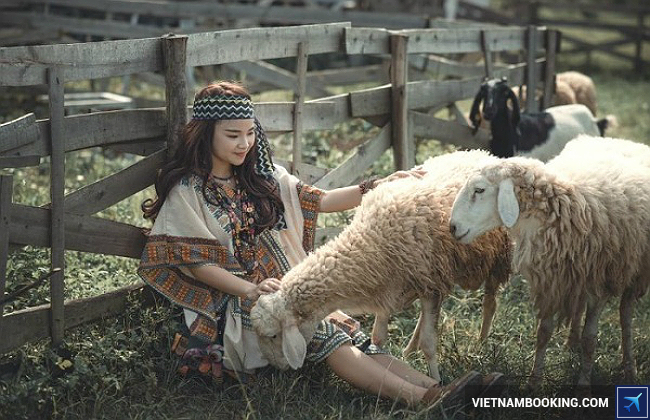 tour du lịch vũng tàu một ngày trọn gói