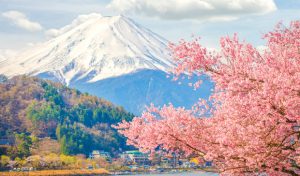 Tour du lịch Nhật Bản tháng 3: Osaka – Kyoto – Nagoya – núi Phú Sĩ – Tokyo giá rẻ