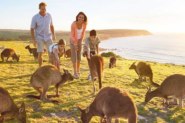 xin visa di uc tham than