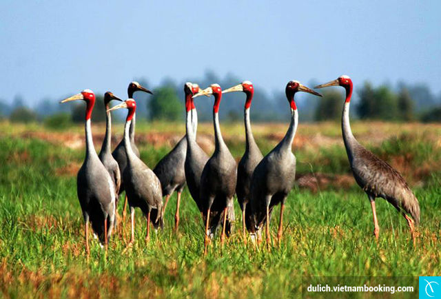 5-dia-diem-o-mien-tay-phai-check-in-it-nhat-mot-lan-2-10-03-2017