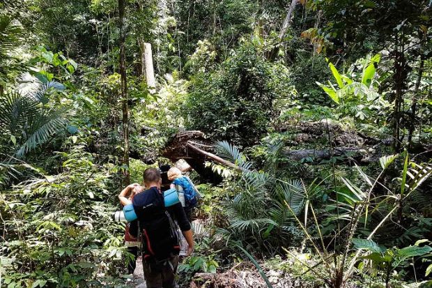 Địa điểm du lịch Kon Tum - Vườn quốc gia Chư Mom Ray