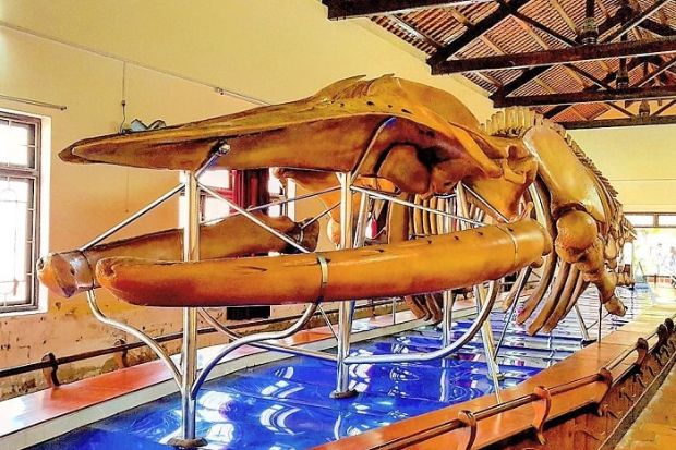 Địa điểm du lịch Mũi Né - Dinh Vạn Thủy Tú