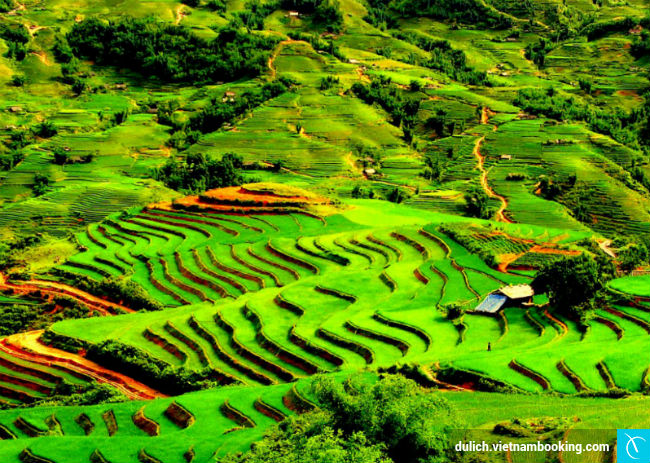 dia-diem-sieu-hot-cho-chuyen-du-hanh-nam-2017-2-06-03-2017