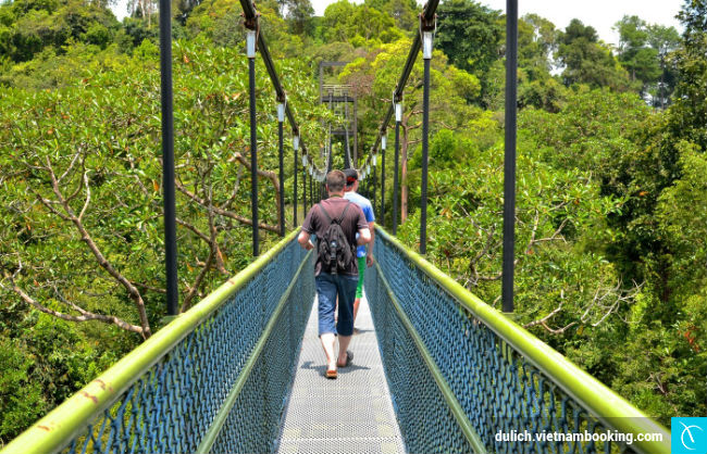 diem-danh-nhung-trai-nghiem-0-dong-o-singapore-2-25-03-2017