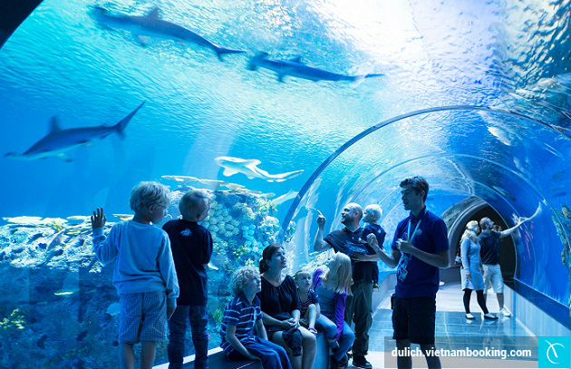 di tour du lich dan mach gia re