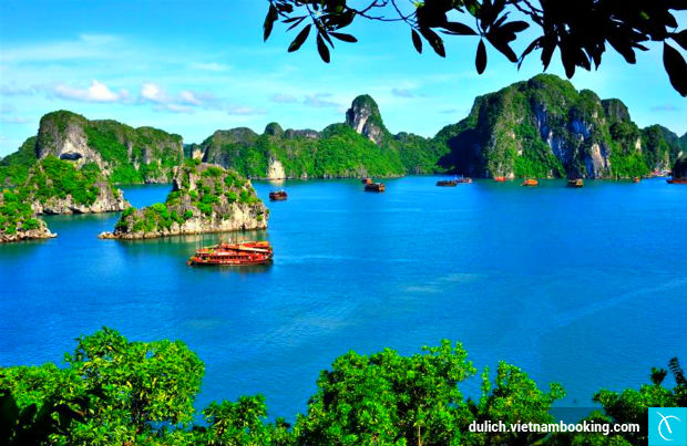 Vịnh Hạ Long du lịch Hạ Long