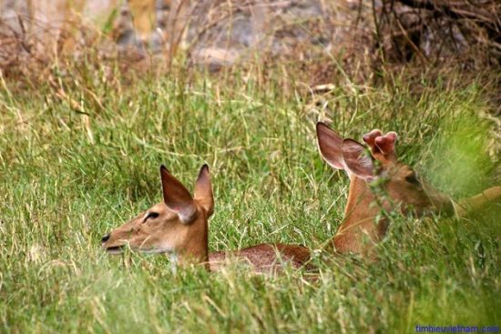 Du lịch Huế v&agrave; những điểm đến
