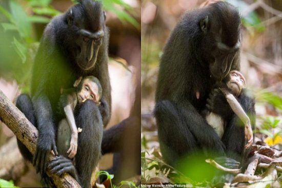 Du lịch nước ngoài