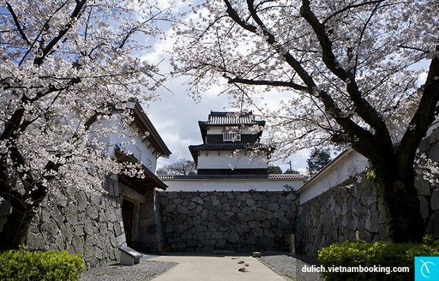 Lâu đài Fukuoka tour du lich nhat ban gia re