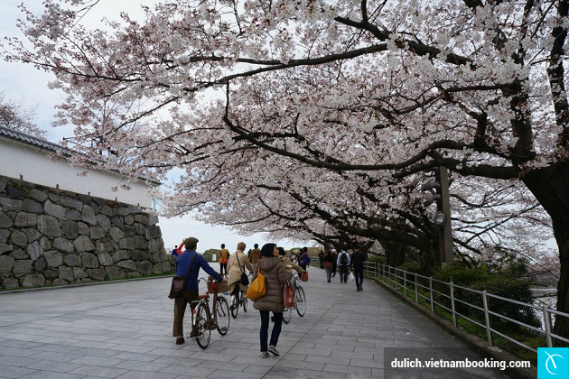 Công viên Ohori di tour du lich nhat ban