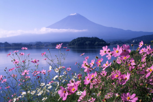 Tour du lịch Nhật Bản Lễ 30/4: Kobe – Osaka – Kyoto – Shizuoka – Tokyo 6N5Đ