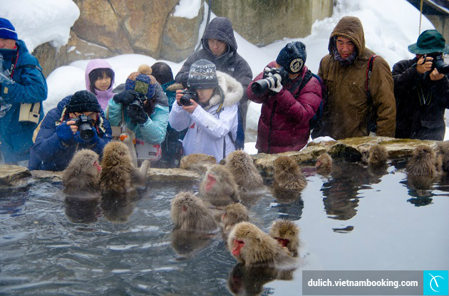 du lich nhat ban gia re vietnam booking