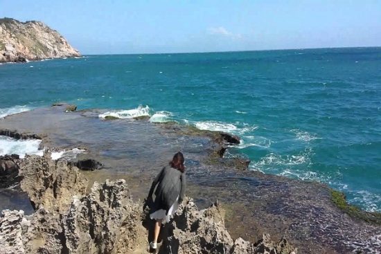 Du lịch Phan Rang giá rẻ