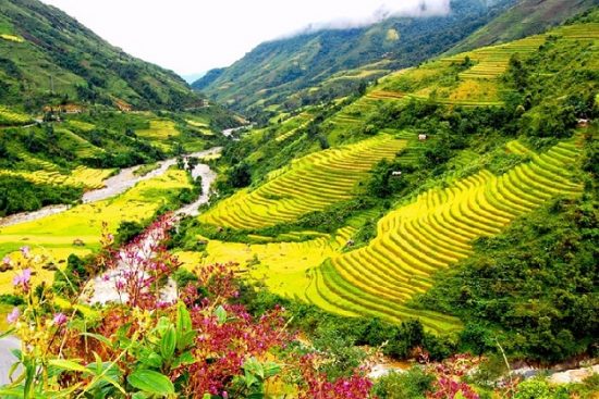 Du lịch Sapa giá rẻ
