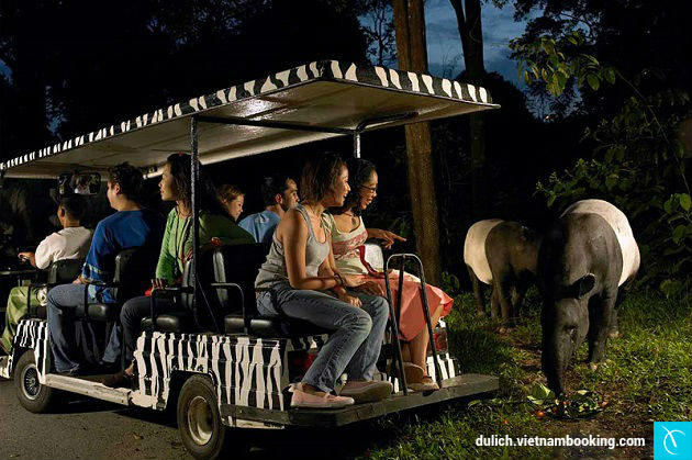 Các địa điểm du lịch singapore