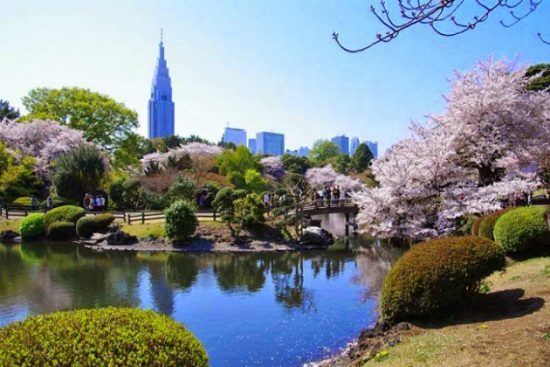 Du lịch Tokyo Nhật Bản