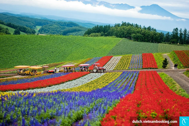 goi-y-mot-so-diem-den-cuon-hut-o-nhat-nam-2017-2-24-03-2017