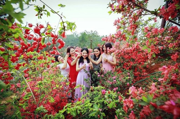 le hoi hoa do quyen sapa 2020