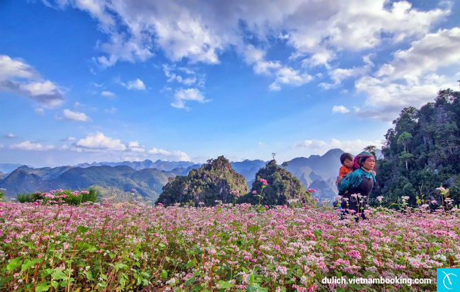 nhung-trai-nghiem-chi-co-o-ha-giang-4-18-03-2017