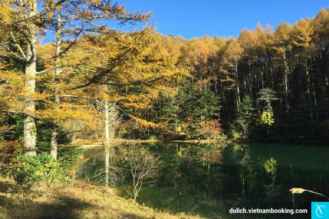 Vẻ đẹp của thiên nhiên trong trẻo làng Achimura du lich nhat ban