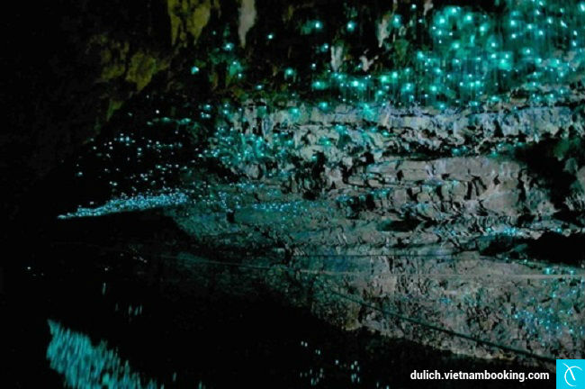 Động Dạ quang Waitomo nhung ky quan duoi long dat