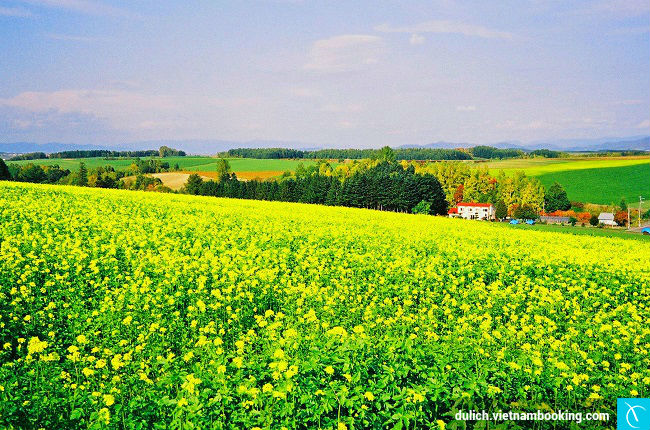 nhung diem den tuyet dep o han quoc