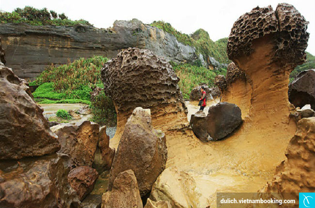 dia diem tham quan hap dan tai dai loan