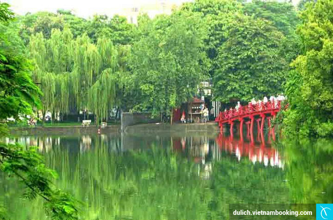 hoa sua ha noi thang ba