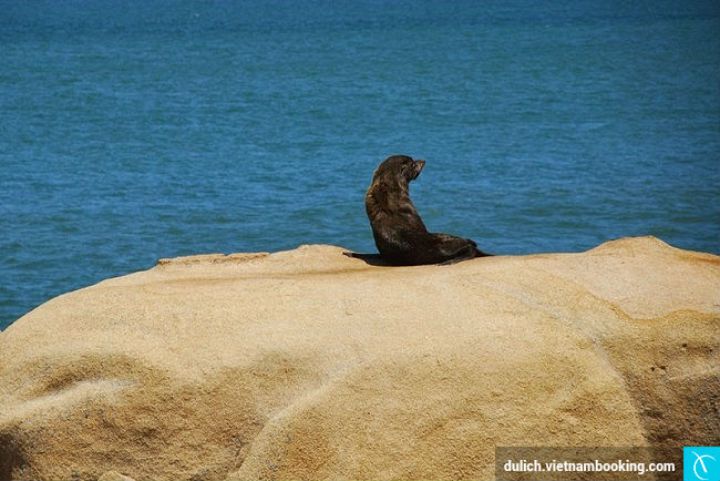 ngoi lang ky la nhat uruguay