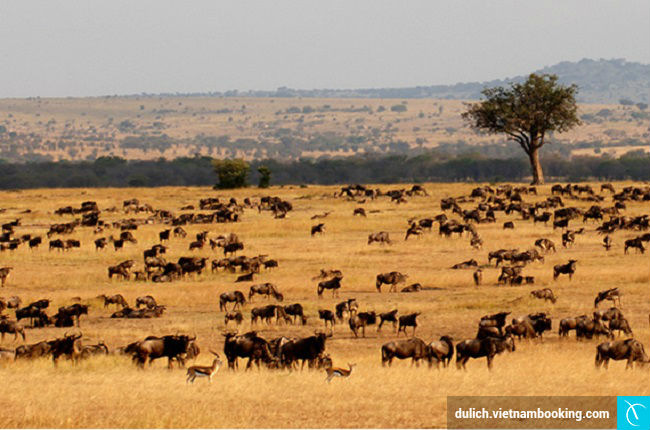 nhung diem du lich bang khinh khi cau dep nhat hanh tinh