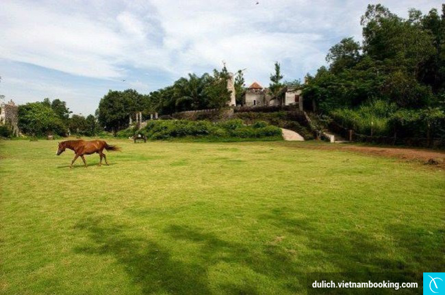 5 diem cam trai gan sai gon