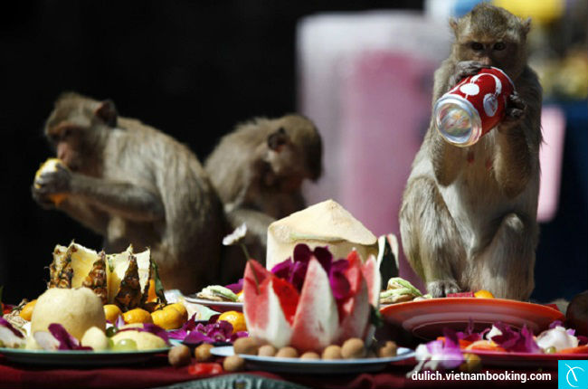 du lich thanh pho khi