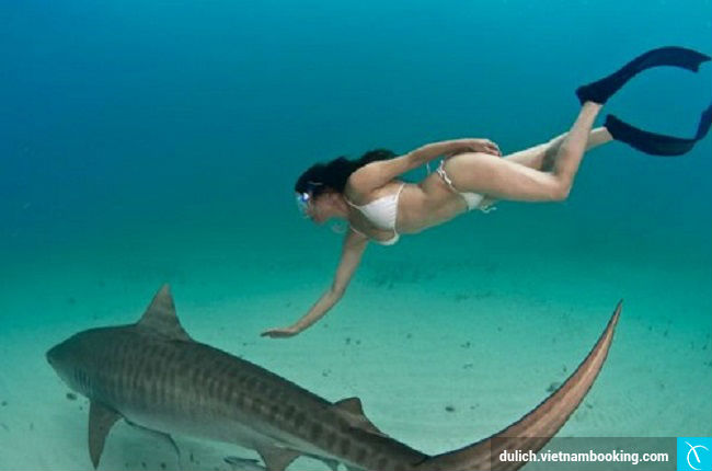 thu thach du lich mao hiem nhat the gioi