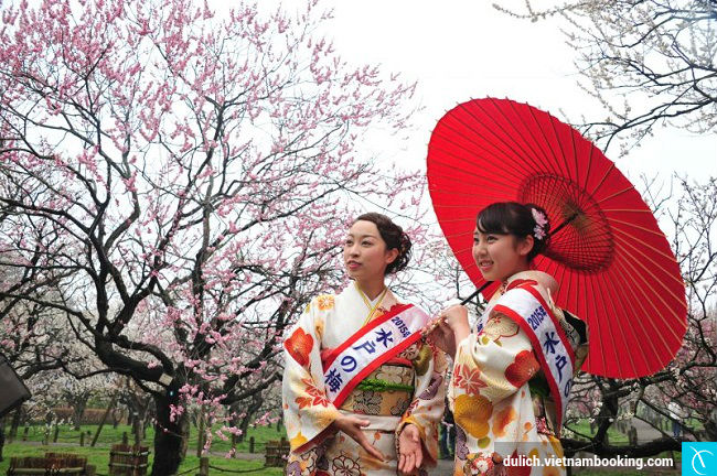 vuon hoa mơ dep nhat nhat ban