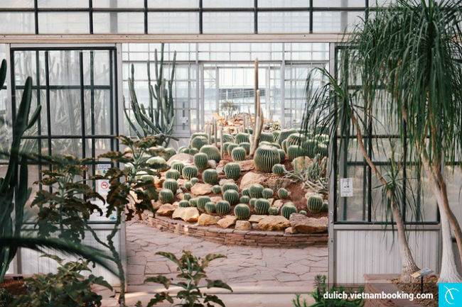 Botanic Garden top-6-diem-den-xinh-yeu-o-chiang-mai-5-15-03-2017