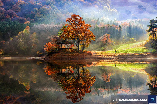 visa di han quoc