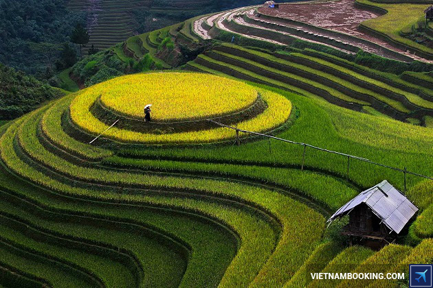 visa cho nguoi nuoc ngoai