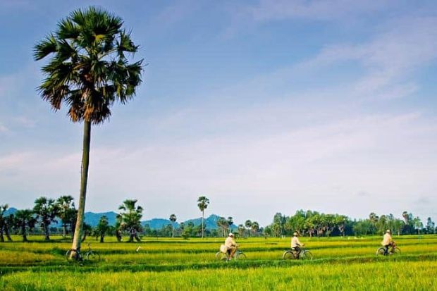 Địa điểm du lịch Châu Đốc - Châu Đốc