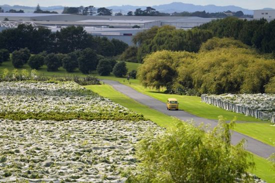 Du lịch tại Auckland