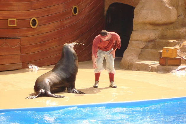 Du lịch Gold Coast