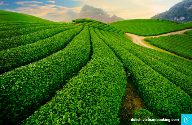 du-lich-bao-loc-2-27-4-2017