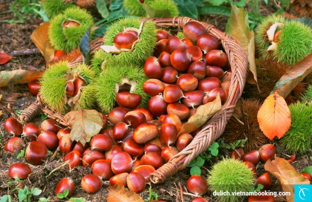 du-lich-cao-bang-3-20-4-2017