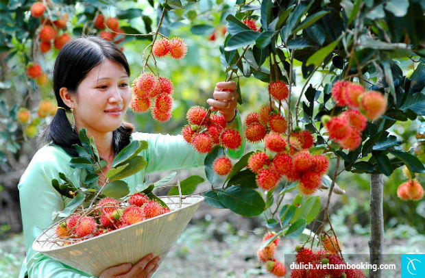 du-lich-dong-nai-3-26-4-2017