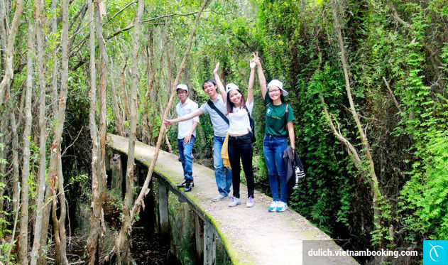 Rừng tràm Tân Lập du lich long an gia re