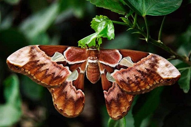 Du lịch Mumbai Ấn