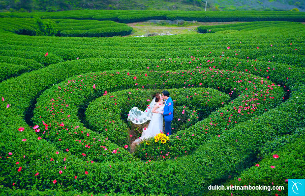 du-lich-son-la-3-20-4-2017