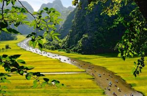 Tour du lịch Hoa Lư – Tam Cốc – Thung Nham 2N1Đ giá tốt (Hàng ngày)