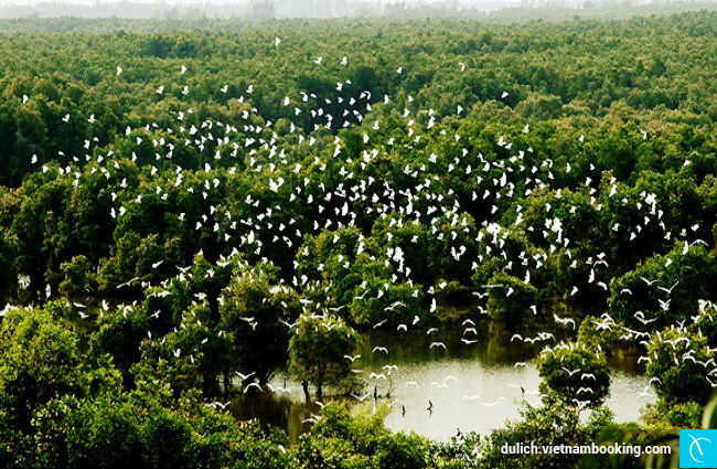 tin-tuc-rung-tram-22-4-2017-2