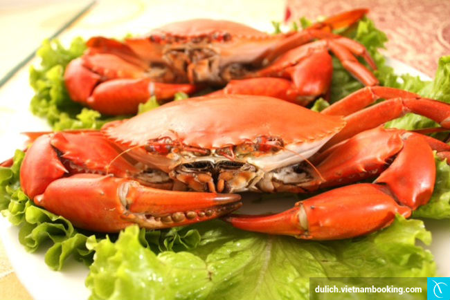 tin-tuc-rung-tram-22-4-2017-3